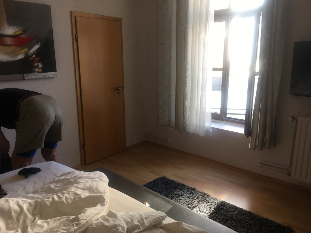 Hotel Lanners主图