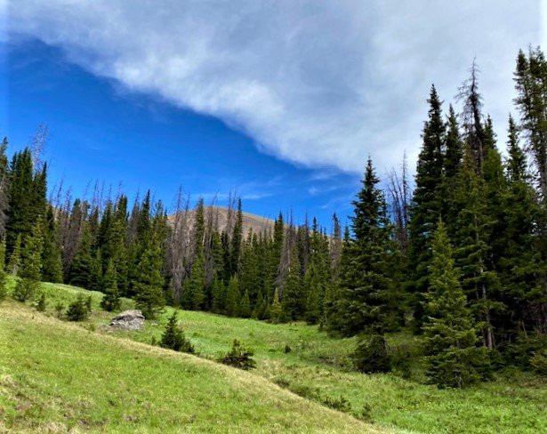 Poudre River Trail-落基山国家公园必去景点