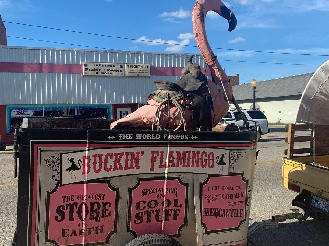 The Buckin' Flamingo-Pawhuska必去景点