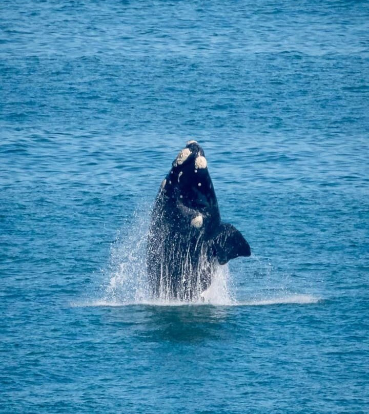 Eden Guesthouse B&B主图