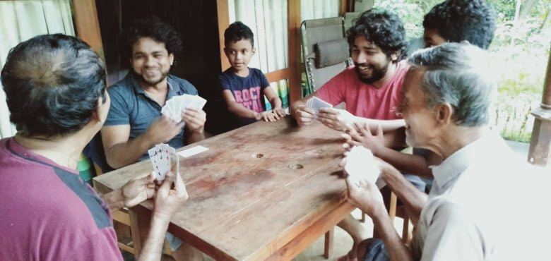 360 Rainforest主图