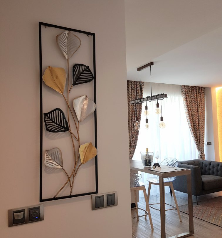 Kanopian Penthouse Brasov主图