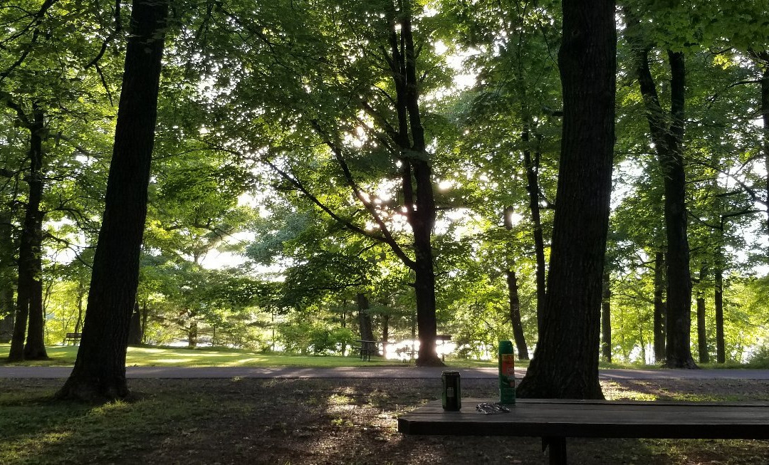 Brunet Island State Park景点图片