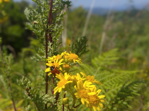 Keen Tours-波尔图必去景点