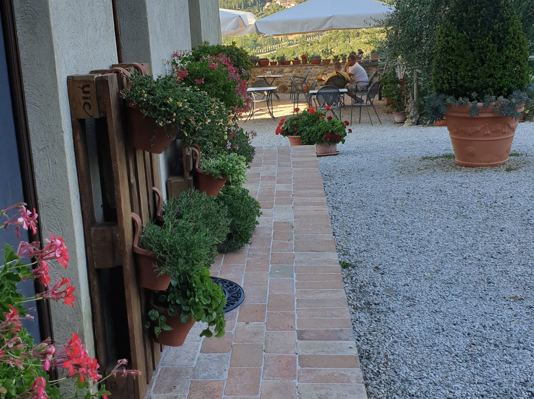 Podere Sant'Elena主图