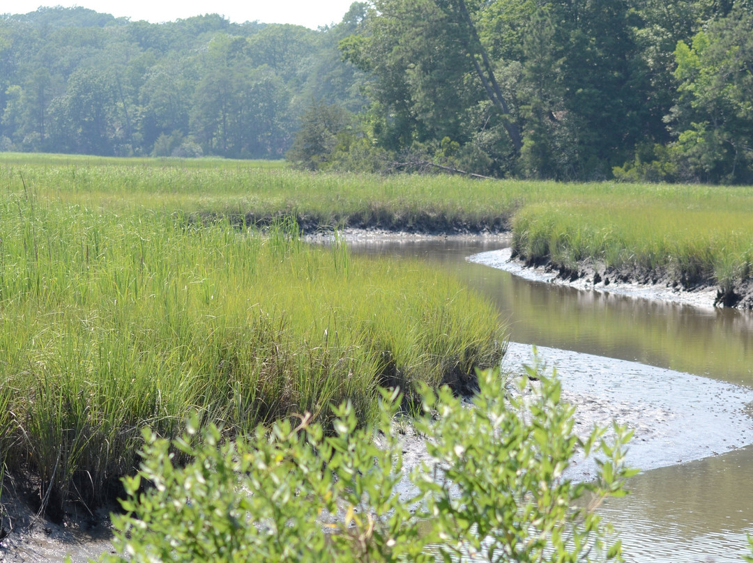 York River State Park-威廉斯堡必去景点