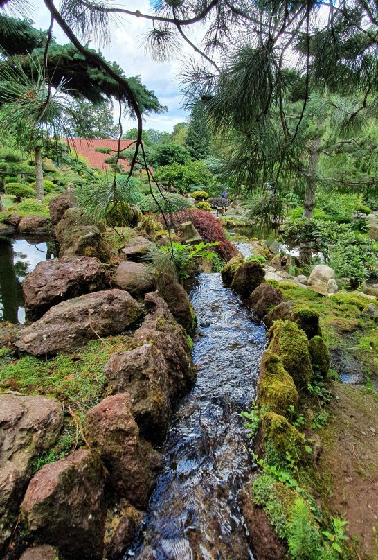 Japanese Garden-Jarkow必去景点
