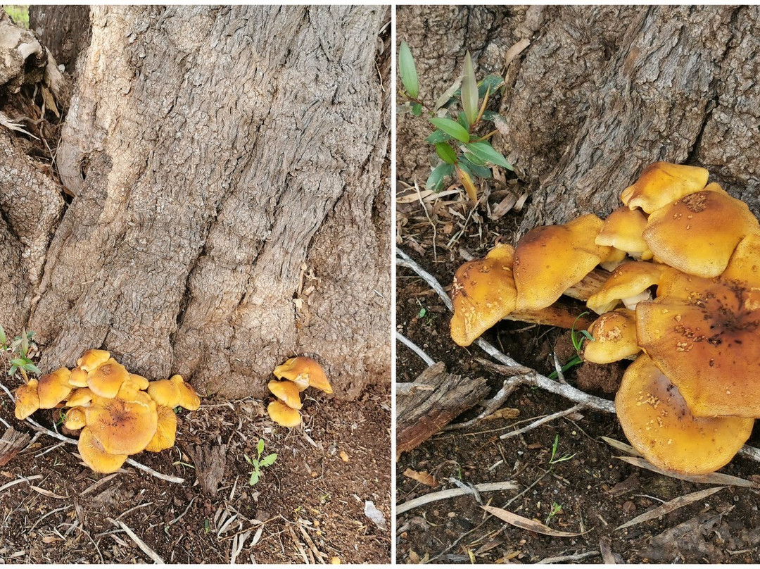 Bridgedale-布里奇敦必去景点