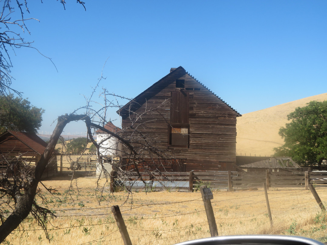 Black Diamond Mines Regional Preserve-安条克必去景点