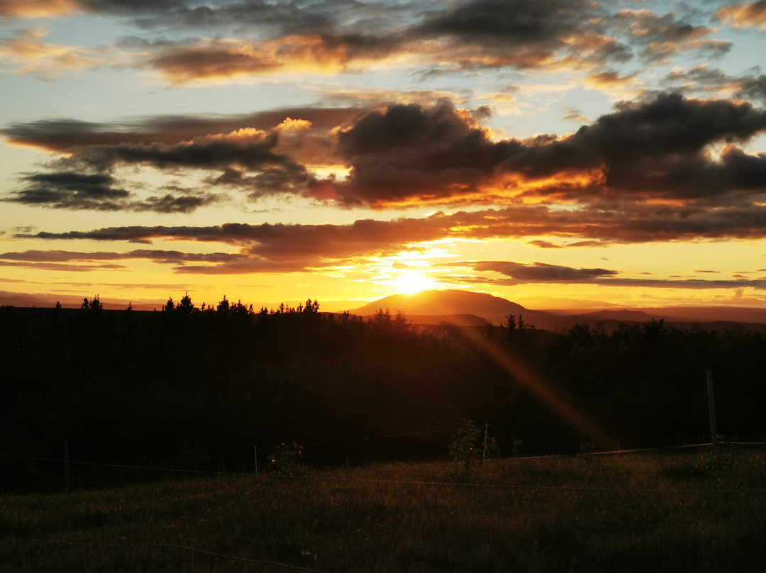 朱利亚宾馆主图