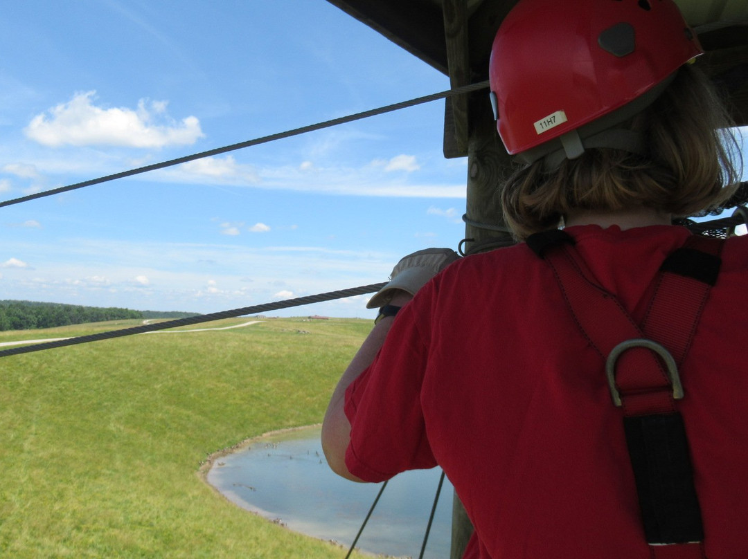 Wild Zipline Safari-Cumberland必去景点
