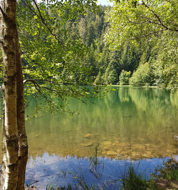Lac de la Maix景点图片