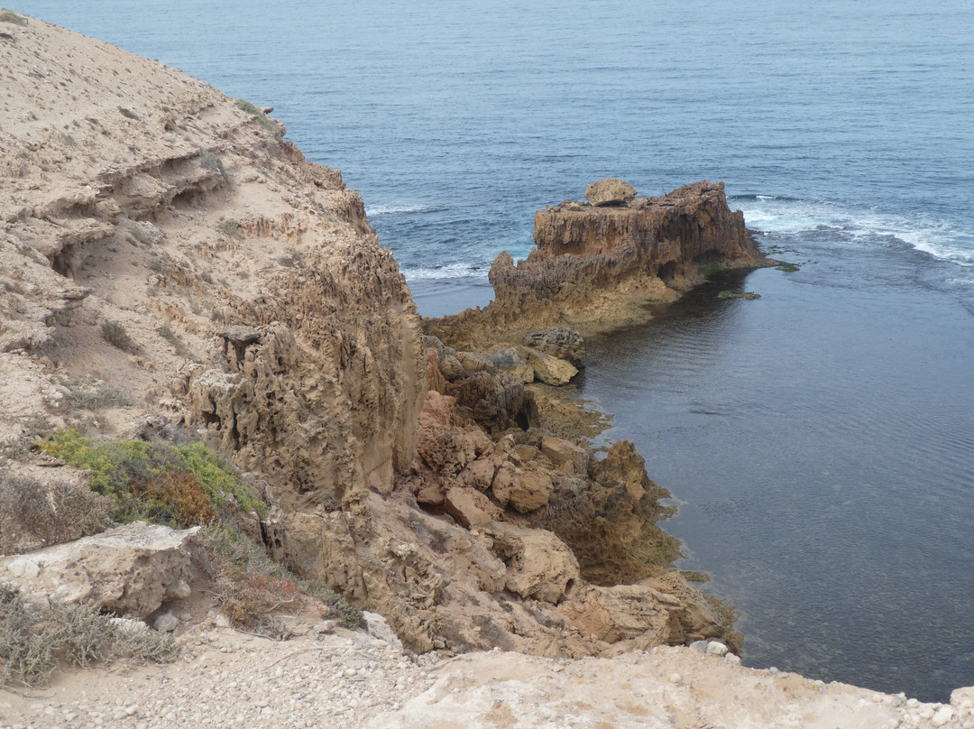 Cape Bauer Loop Drive-Streaky Bay必去景点