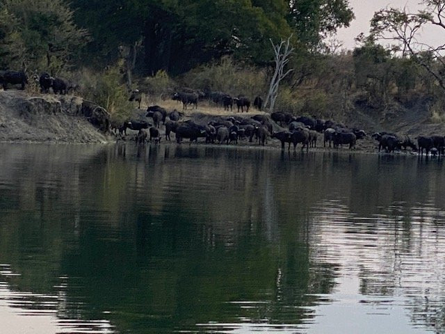 Ila Safari旅馆主图