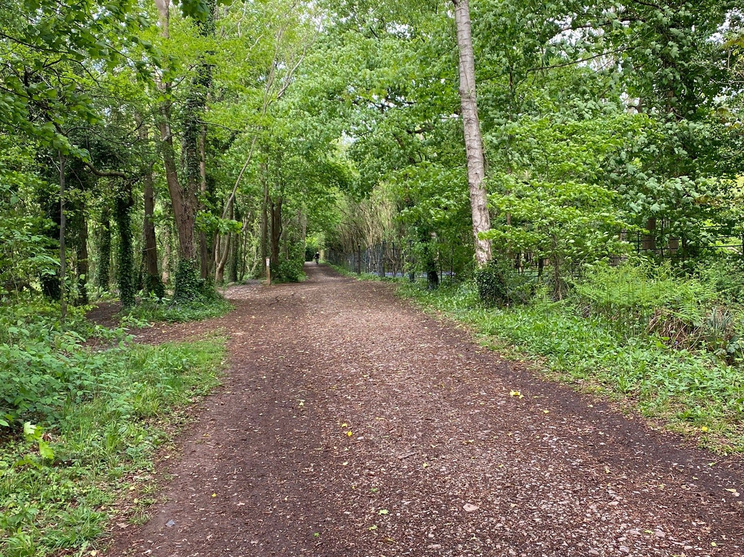 Leigh Woods - Forestry England-布里斯托尔必去景点