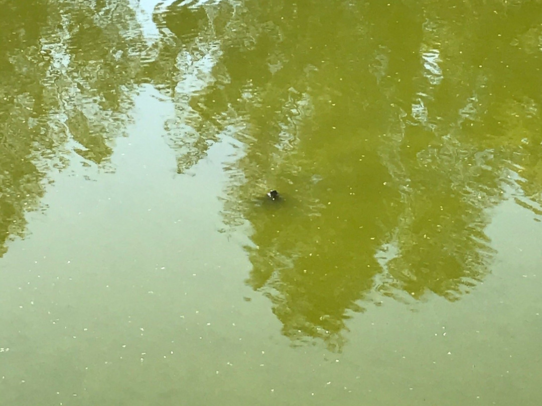 Queensland Heritage Park-Biloela必去景点