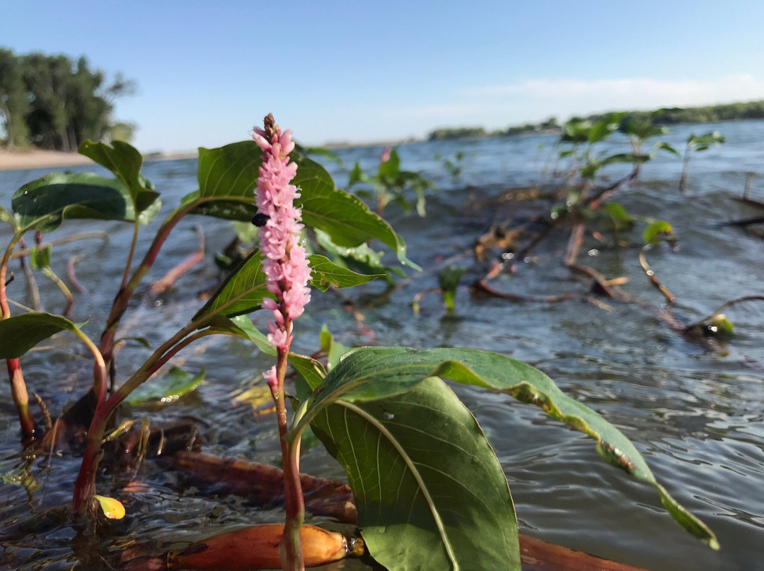 Lake Minatare-Scottsbluff必去景点