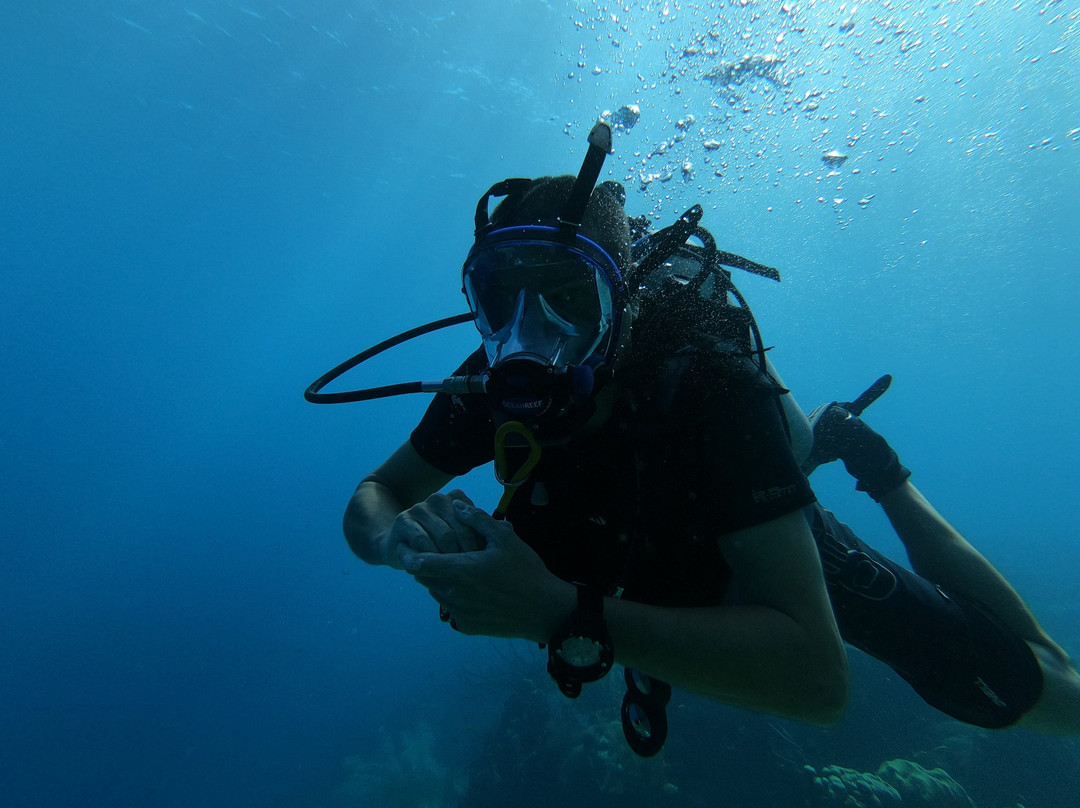 Blue Bay Dive & Watersports-威廉斯塔德必去景点