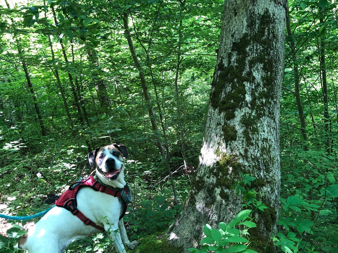 Burr Oak State Park-Glouster必去景点