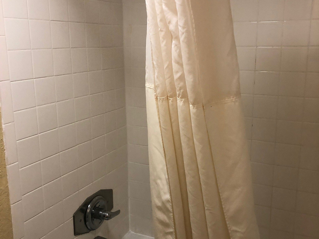 Quality Inn Manning I-95主图