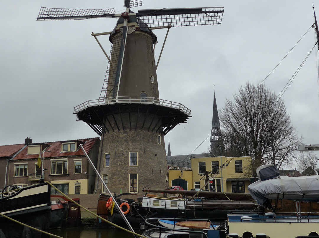 Red Lion Windmill (Molen De Roode Leeuw)-高德必去景点