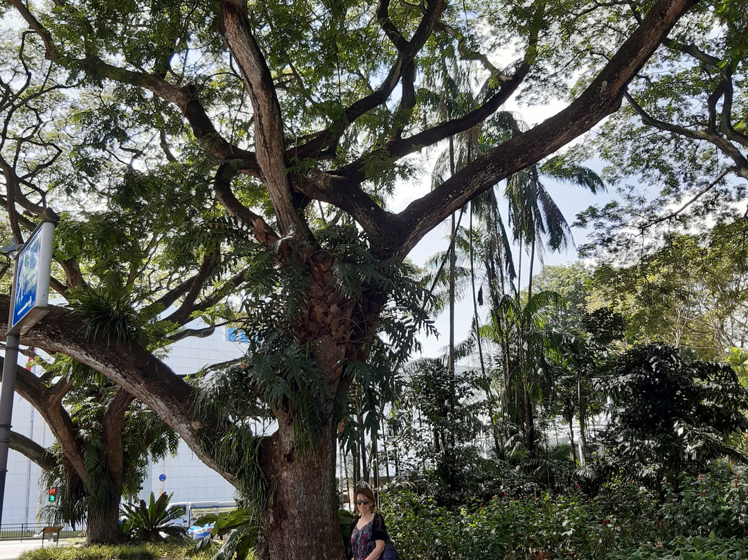 Istana Park-新加坡必去景点