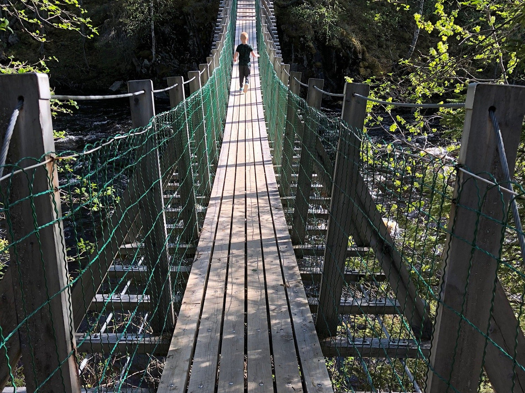 Kanjonin Kurkkaus Trail-库萨莫必去景点