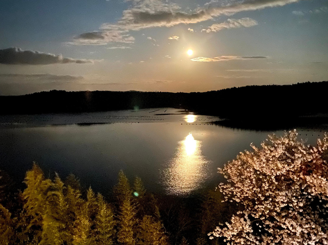 诺托奥玛奇代旅馆主图