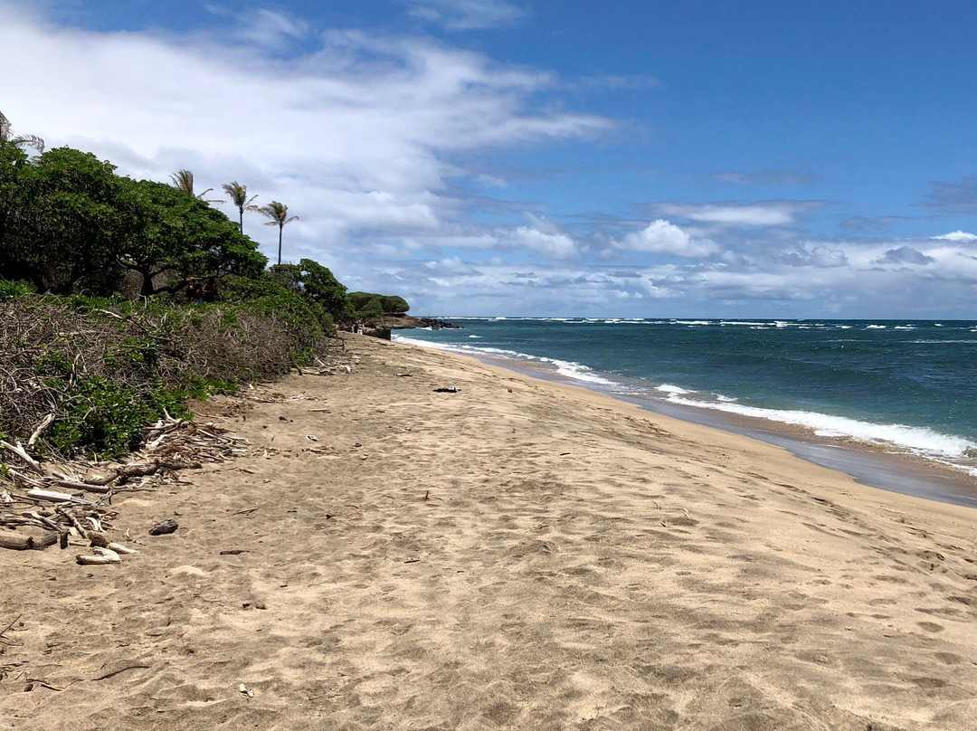 Waiehu Beach Park景点图片