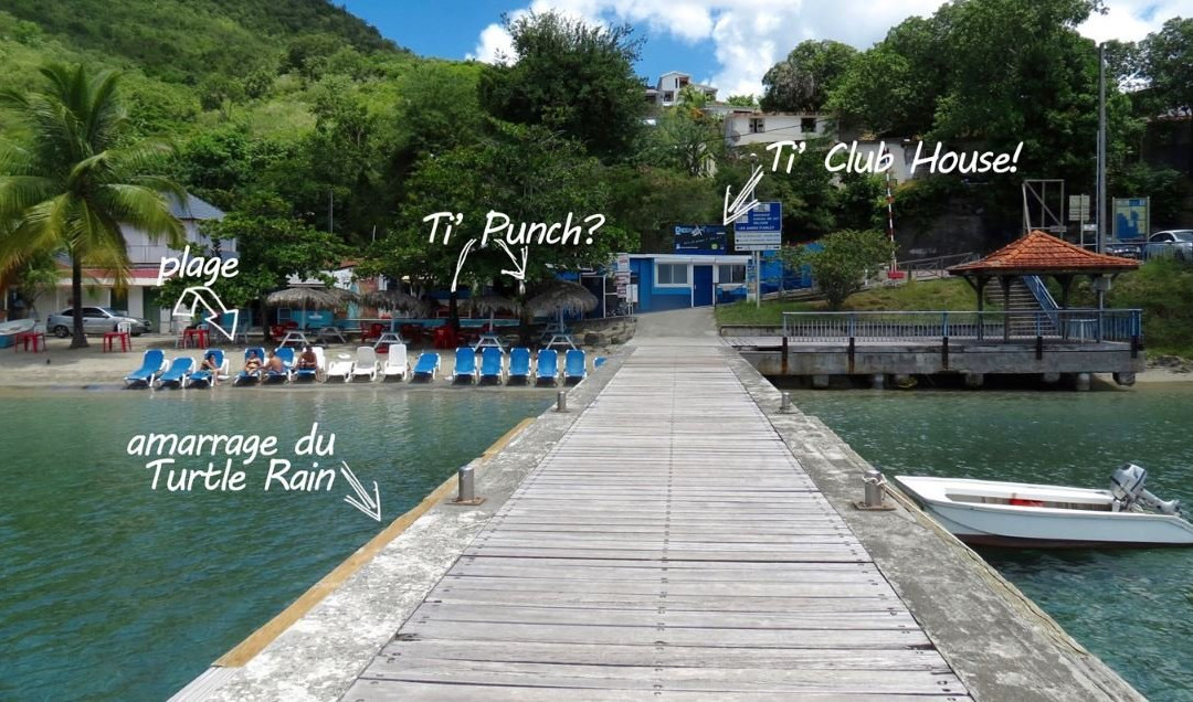 Deep Turtle Plongee-Les Anses d'Arlet必去景点