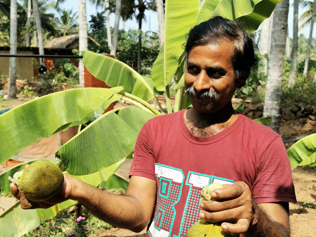 Doctors Ayurveda and Yoga centre-瓦卡拉必去景点
