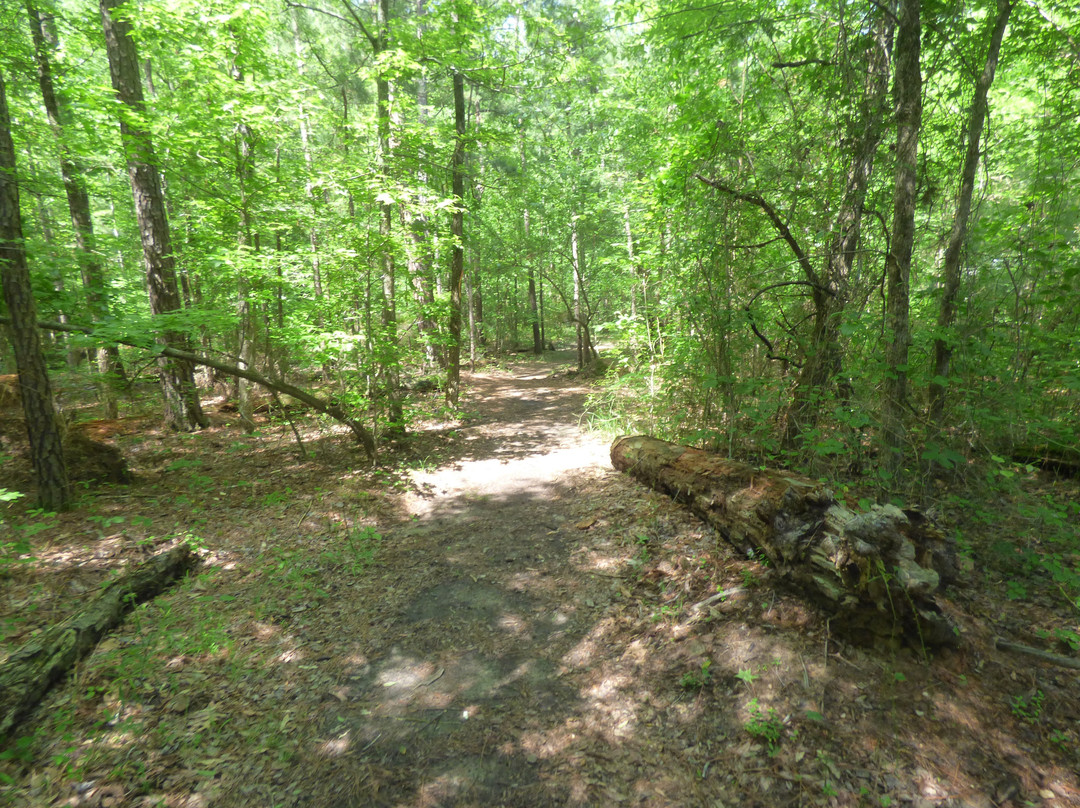 Lake Greenwood State Park景点图片
