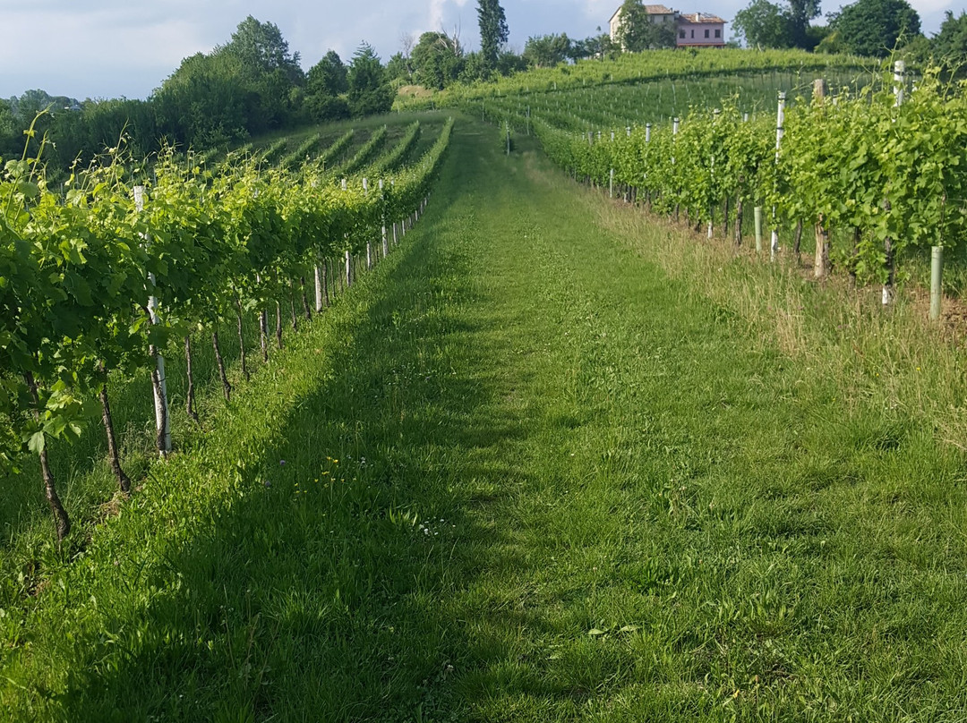 Zinto-科内利亚诺必去景点