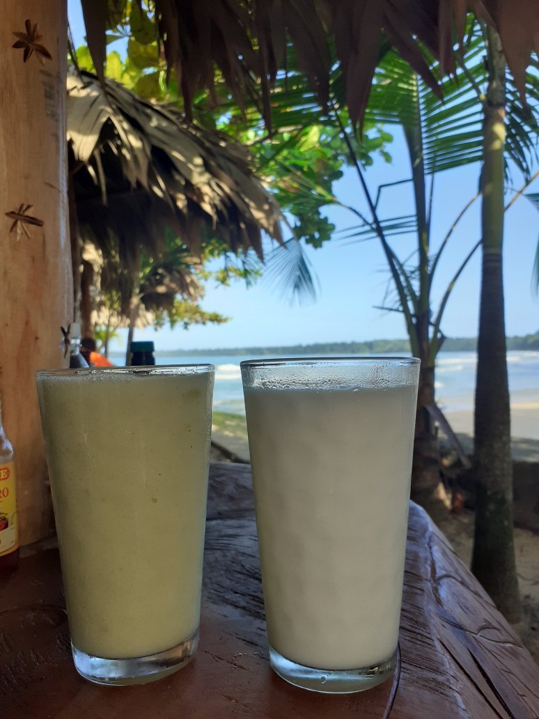 Hotel y Restaurant National Park Cahuita-官方