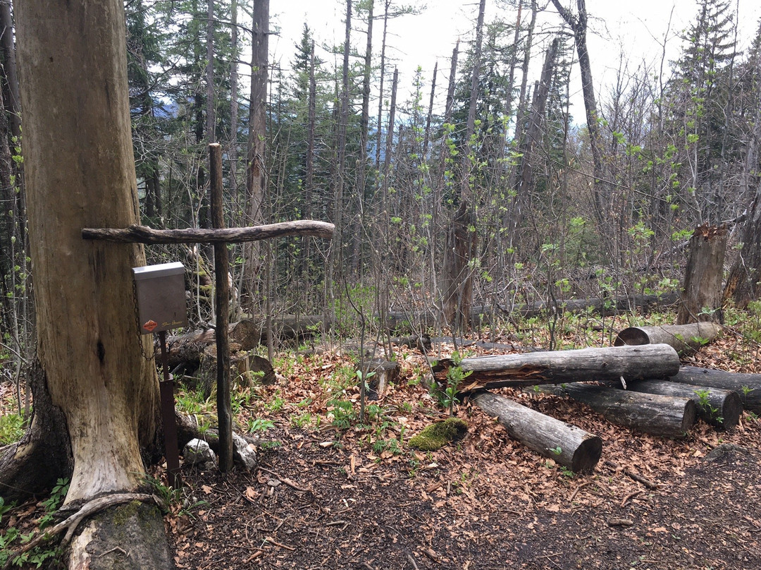 Rundweg Sonnkogel-Reichraming必去景点