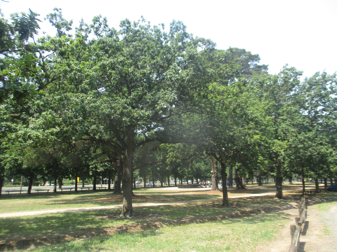 Victoria Park-巴拉瑞特必去景点