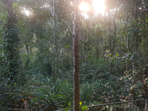 Pepper County Home Stay主图