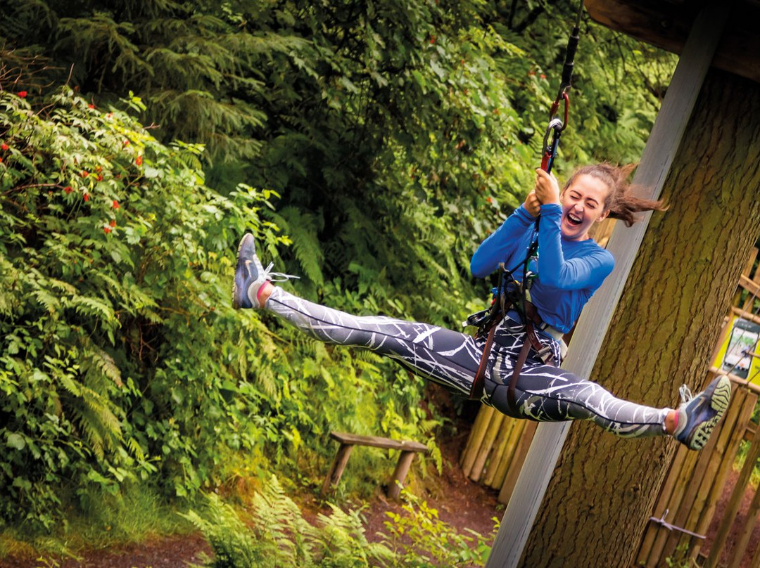 Go Ape Zipline & Adventure Park景点图片