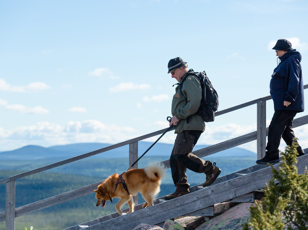 Salla Tourist Info-Salla必去景点