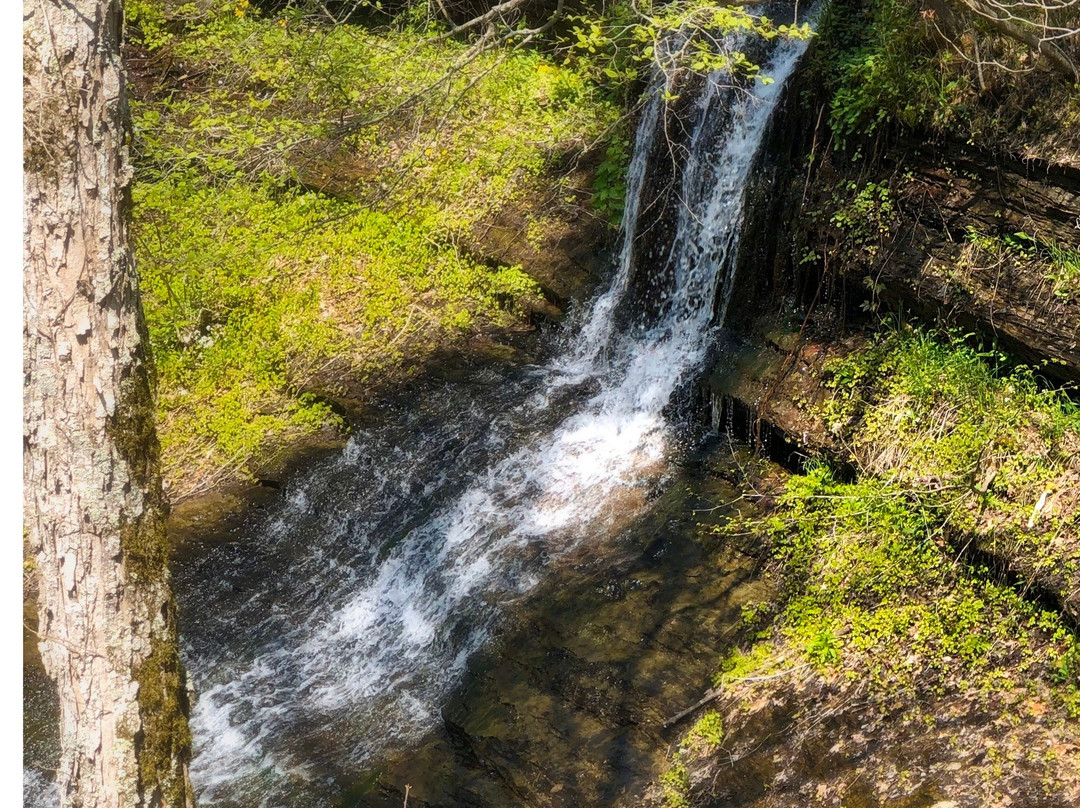 Fall Hollow Falls-Hohenwald必去景点