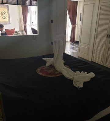 皇家热带海滩贵宾连锁度假村主图