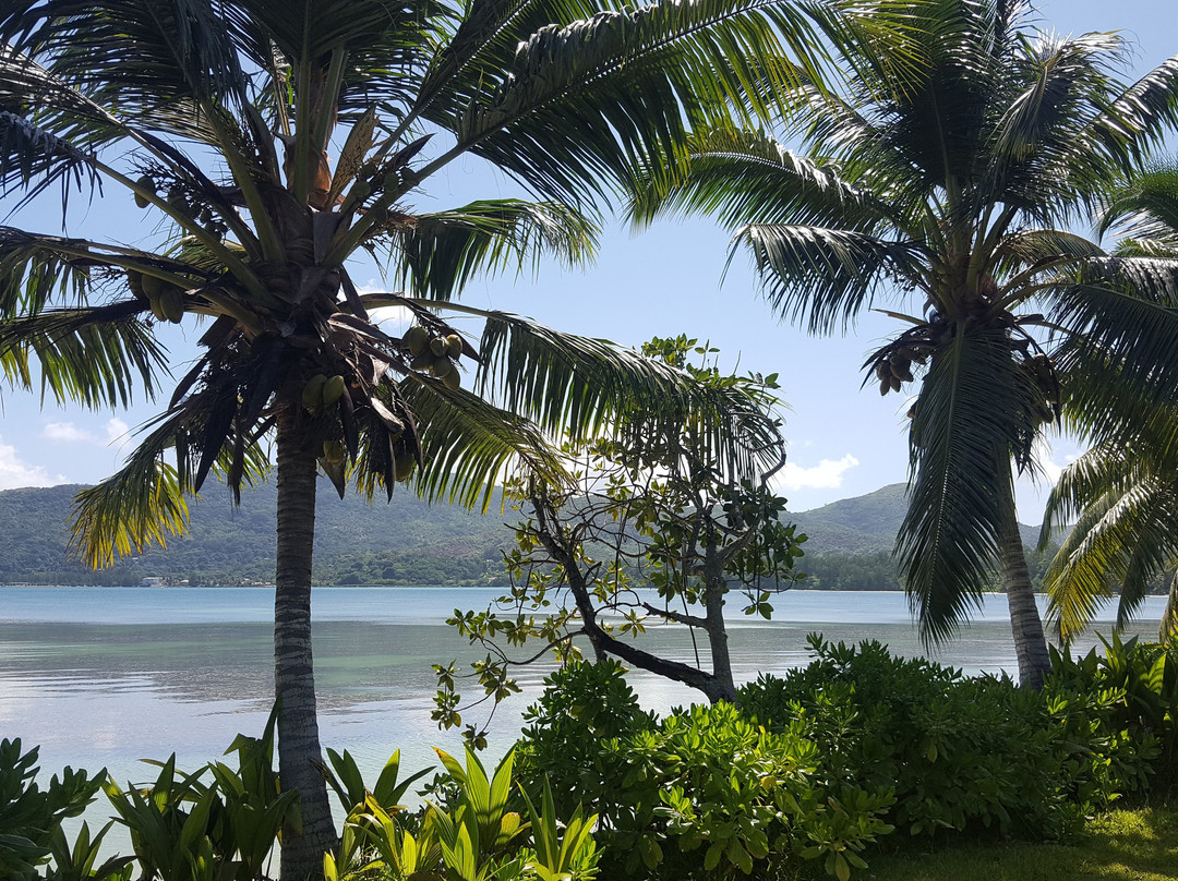 Le Vasseur La Buse Eco Resort主图