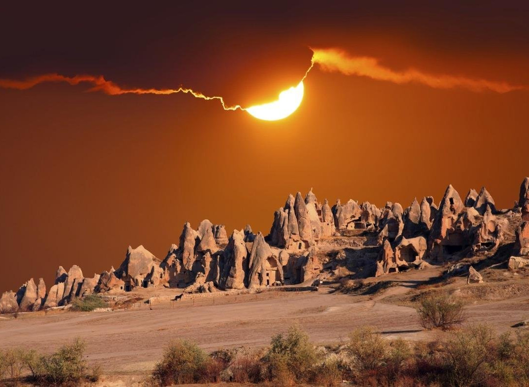 Moon Gleam Travel Agency