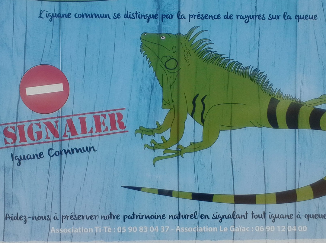 Bureau d'Information Touristique de La Désirade-La Desirade必去景点