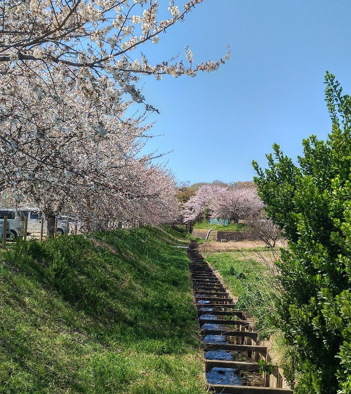Kitamoto City Kodomo Park-北本市必去景点