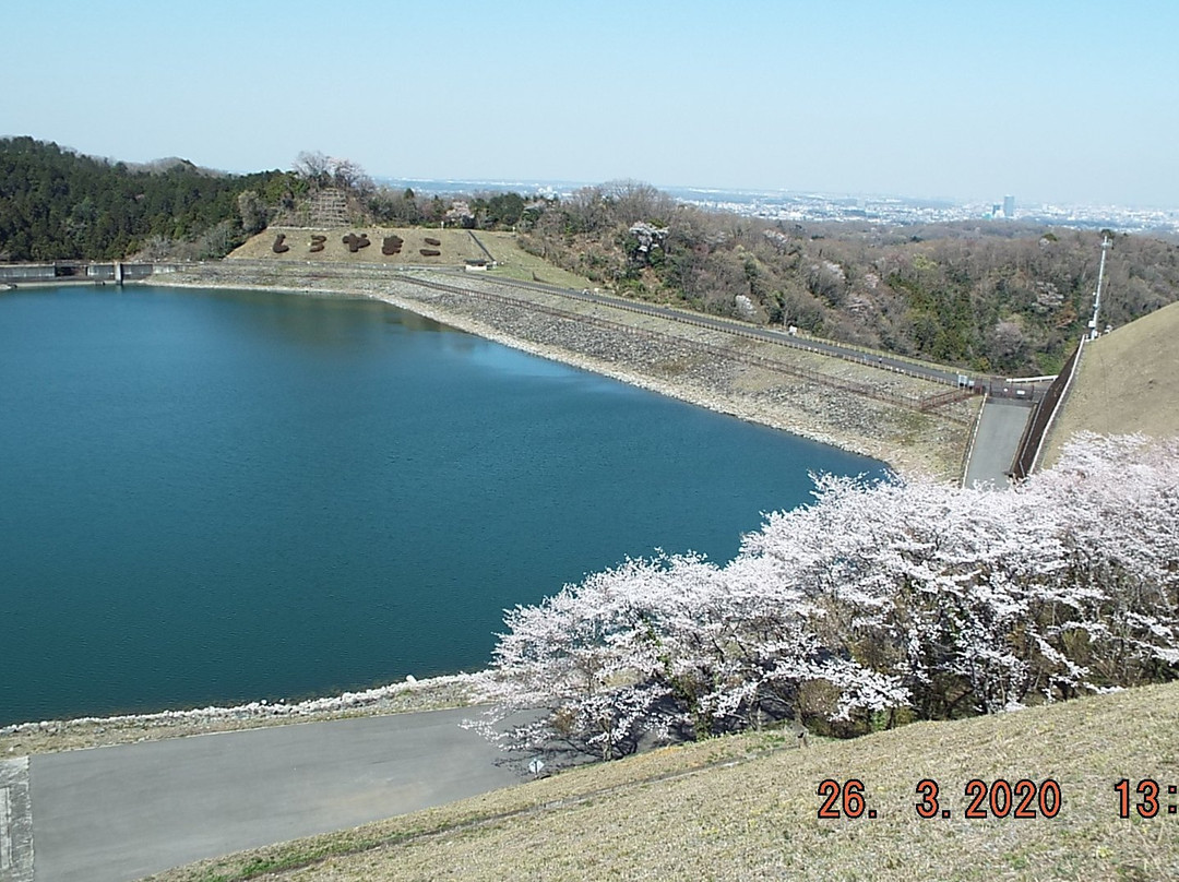 Shiroyama Lake-相模原市必去景点