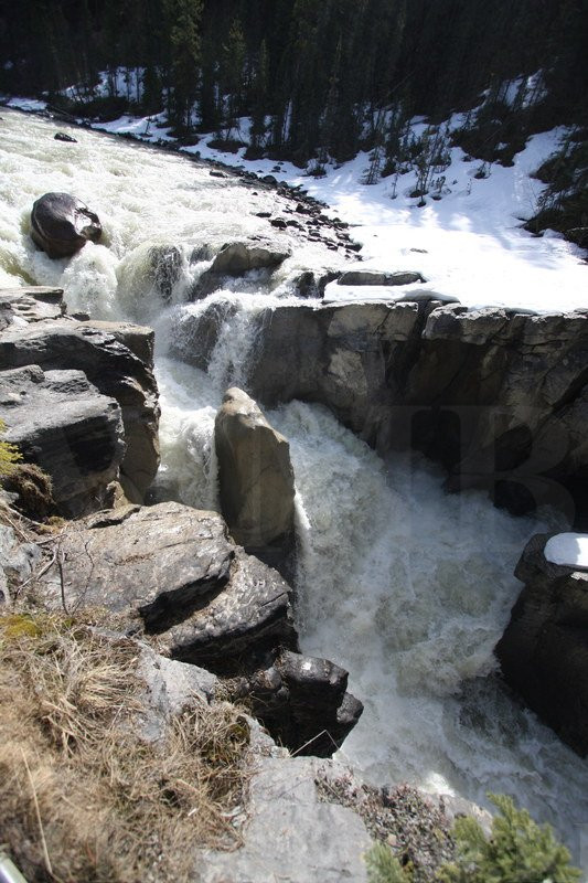 Sunwapta Falls and Canyon景点图片