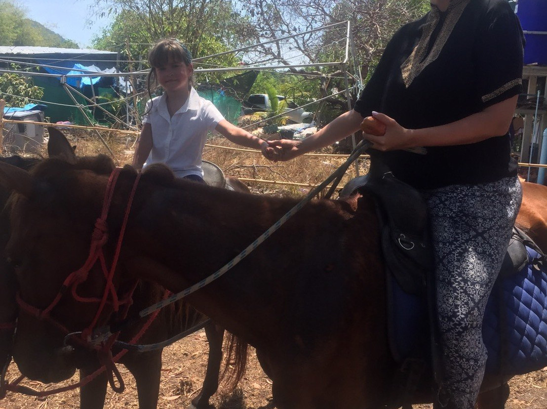 Horse Riding Koh Lanta-Ban Sala Dan必去景点