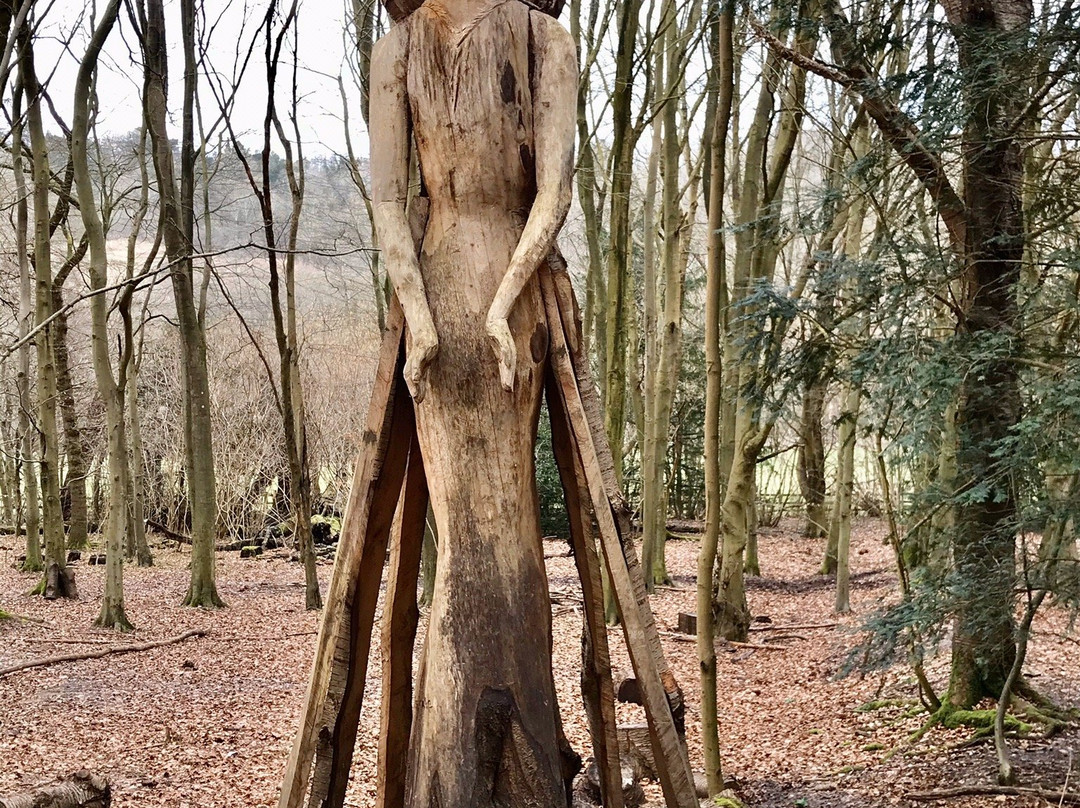 Banstead Woods景点图片