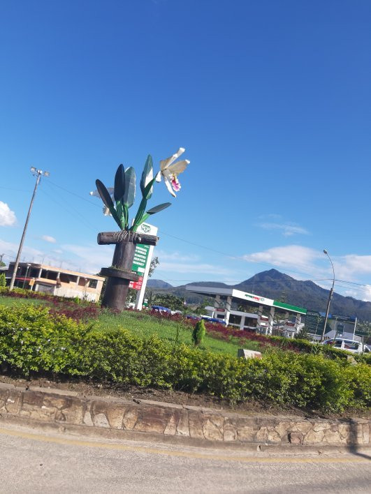 Agro Oriente Viveros-Moyobamba必去景点